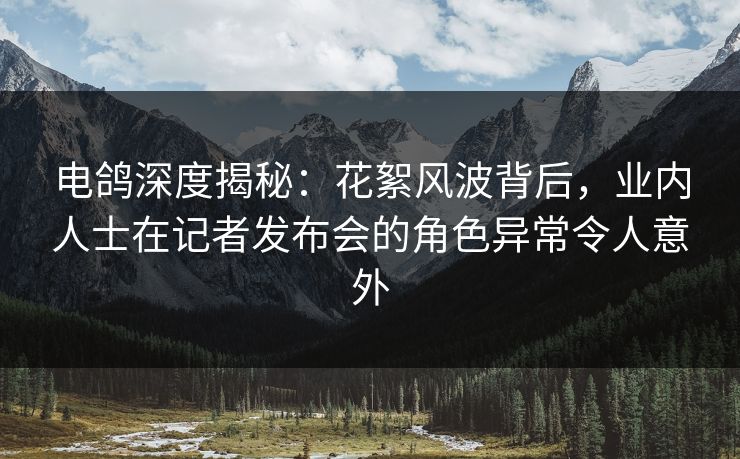 电鸽深度揭秘：花絮风波背后，业内人士在记者发布会的角色异常令人意外