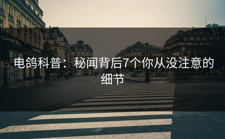电鸽科普：秘闻背后7个你从没注意的细节